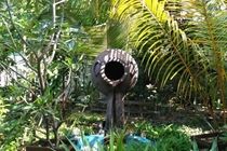 Sandies Bathala Maldives Bathala Island 외부 사진